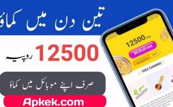 Best Online earning Apps in 2024