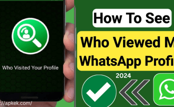 Who Views My WhatsApp Profile
